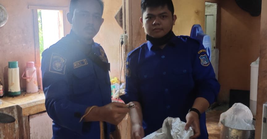 Evakuasi Ular Kobra di Jl. Parit Lapis Kel. Patunas
